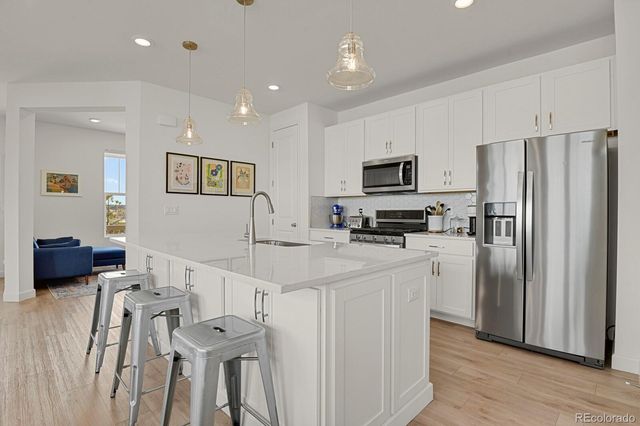14118 Red Cosmos Street, Parker, CO 80134