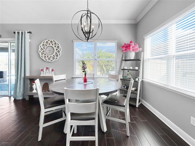 11622 LAKE LUCAYA DRIVE, Riverview, FL 33579