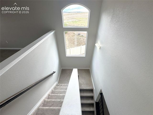 7295 Cedar Brush Court, Colorado Springs, CO 80908