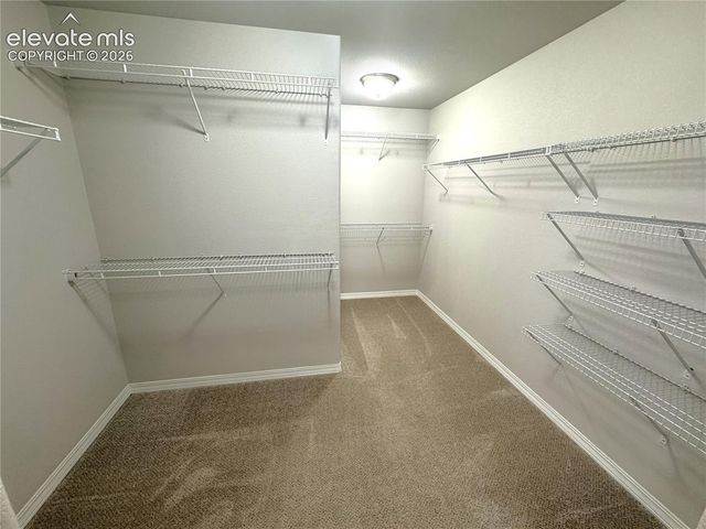 7295 Cedar Brush Court, Colorado Springs, CO 80908