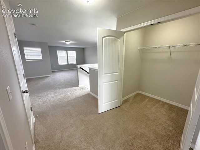 7295 Cedar Brush Court, Colorado Springs, CO 80908