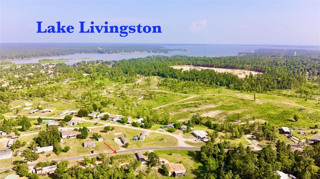 619 Yaupon Cove Drive, Onalaska, TX 77360
