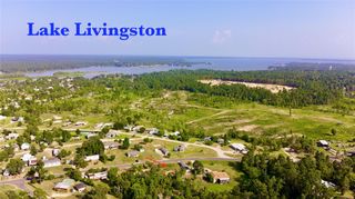 619 Yaupon Cove Drive, Onalaska, TX 77360