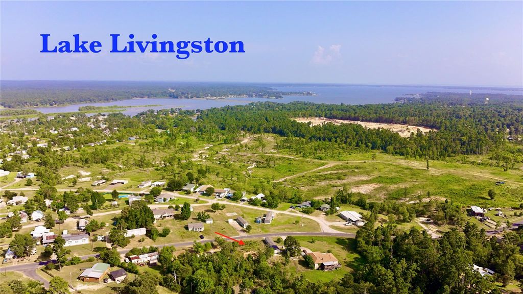 619 Yaupon Cove Drive, Onalaska, TX 77360