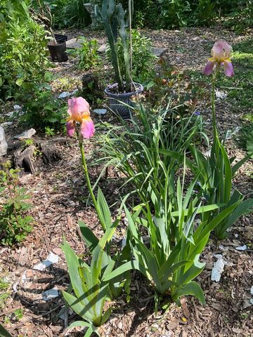 305 Gramercy Avenue, Minneapolis, MN 55405