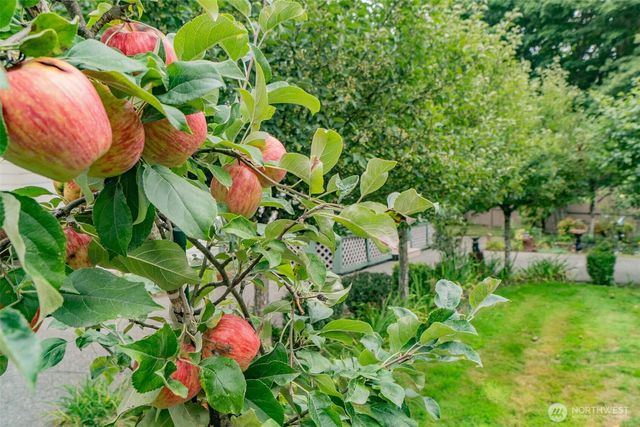 31657 110th Place SE, Auburn, WA 98092