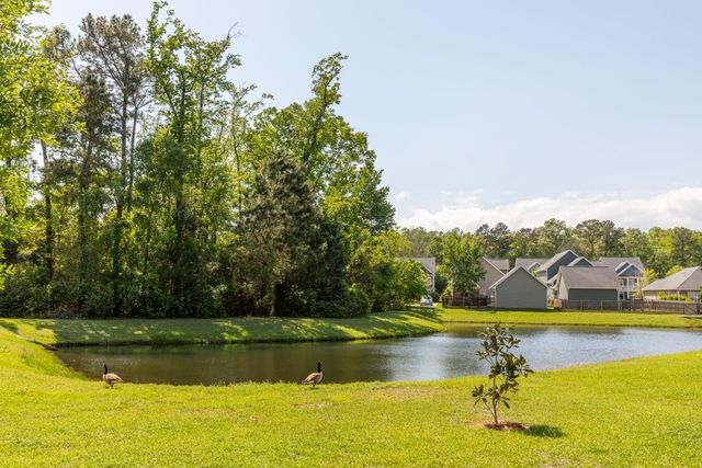 1417 Roustabout Way, Charleston, SC 29414