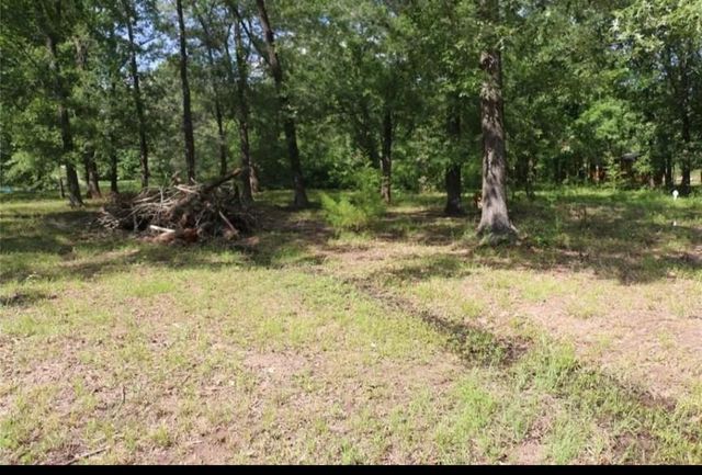 235 Panther Lane, Livingston, TX 77351