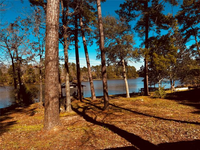 251 County Road, Goodrich, TX 77335