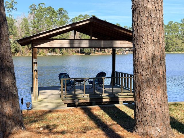 251 County Road, Goodrich, TX 77335