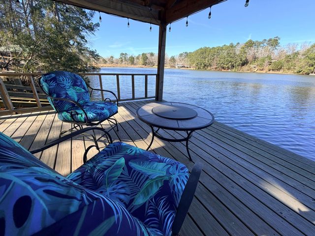 251 County Road, Goodrich, TX 77335