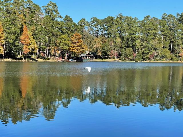 251 County Road, Goodrich, TX 77335