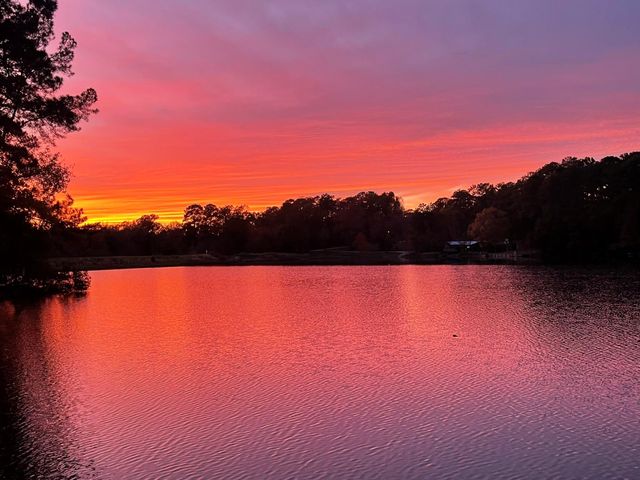 251 County Road, Goodrich, TX 77335