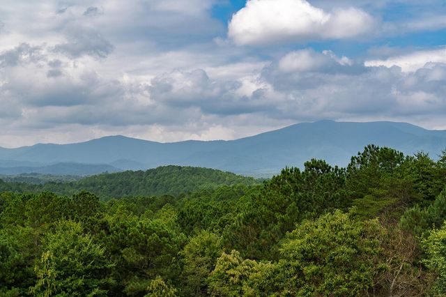156 Pineview Lane, Copperhill, TN 37317