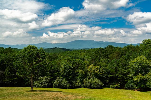 156 Pineview Lane, Copperhill, TN 37317