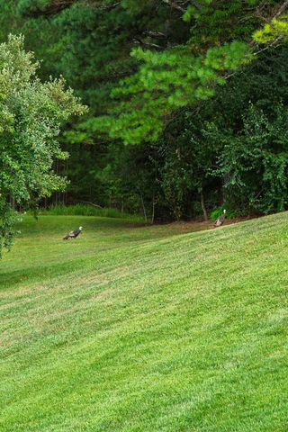 156 Pineview Lane, Copperhill, TN 37317