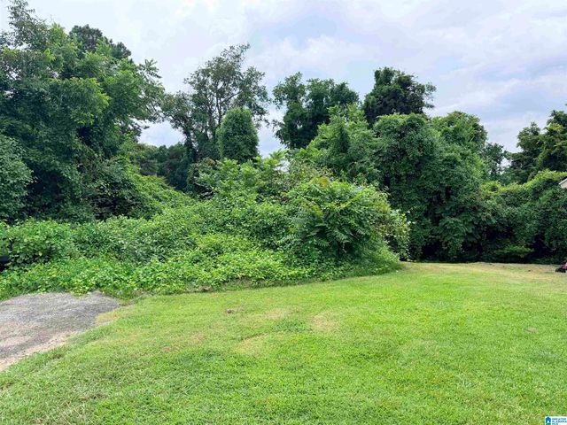 1875 MCDAVID STREET, Tarrant, AL 35217