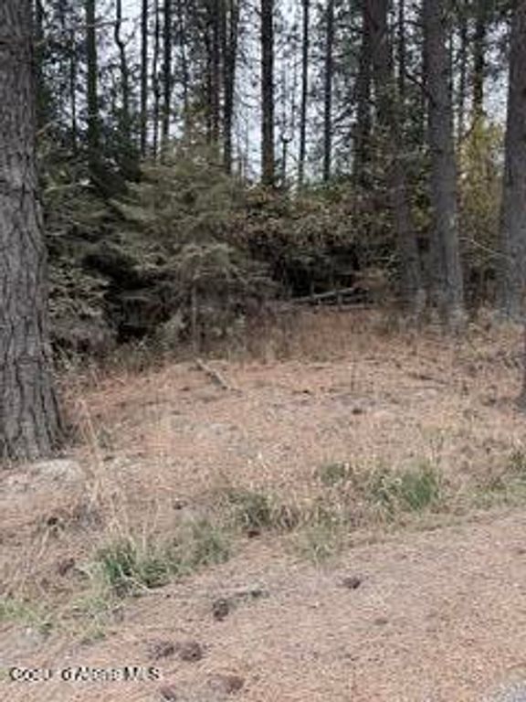 NNA S LAST CHANCE RD, Coeur d'Alene, ID 83814 photo 5