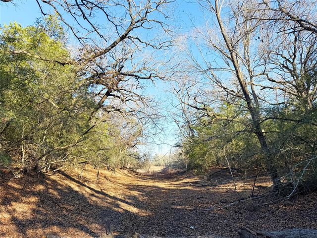 0000 FM 2336, Mcdade, TX 78650