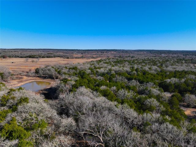 0000 FM 2336, Mcdade, TX 78650