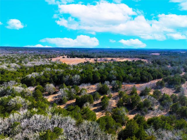 0000 FM 2336, Mcdade, TX 78650