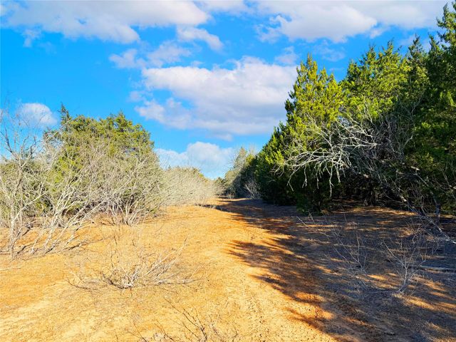 0000 FM 2336, Mcdade, TX 78650