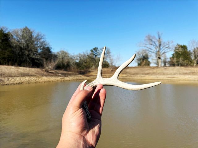 0000 FM 2336, Mcdade, TX 78650