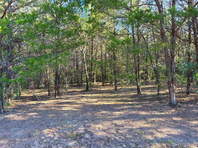 0000 FM 2336, Mcdade, TX 78650