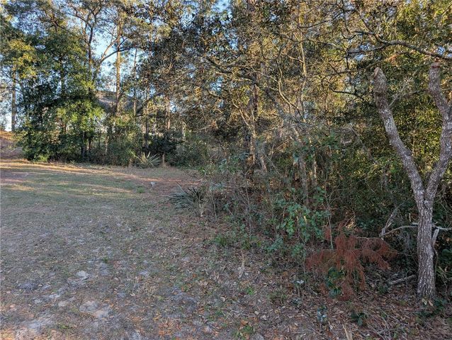8949 N LANSEN WAY, Citrus Springs, FL 34433