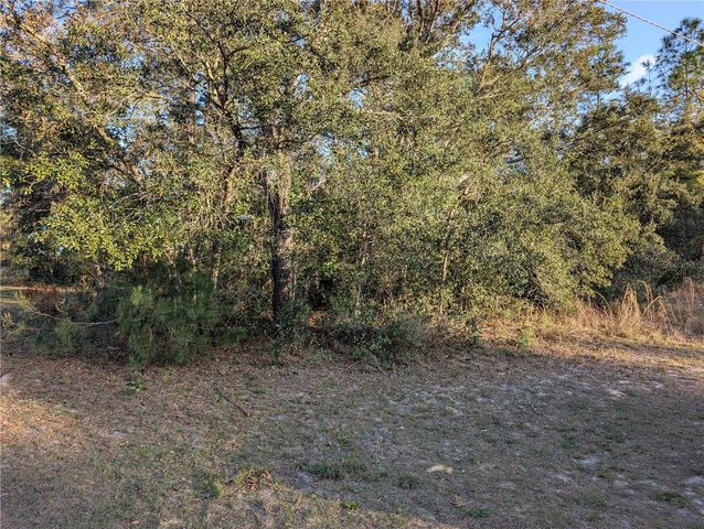 8949 N LANSEN WAY, Citrus Springs, FL 34433