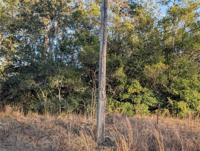 8949 N LANSEN WAY, Citrus Springs, FL 34433