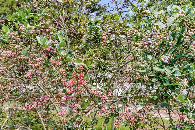 127 Roberts Road, Summerville, SC 29483