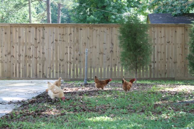 127 Roberts Road, Summerville, SC 29483