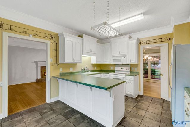 100 Coriander Lane, Harvest, AL 35749
