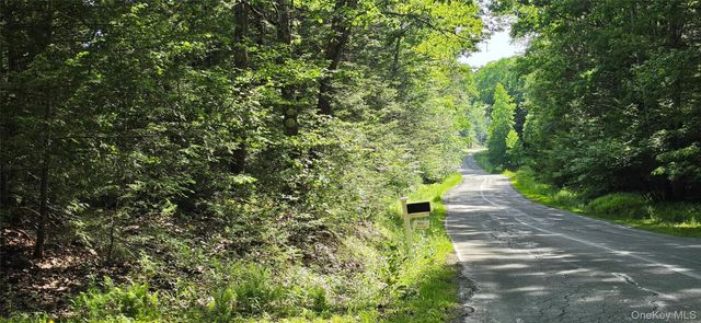 00 Church aka Pan Am Road, Mountain Dale, NY 12763