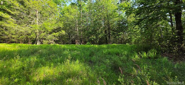 00 Church aka Pan Am Road, Mountain Dale, NY 12763