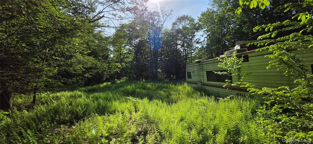 00 Church aka Pan Am Road, Mountain Dale, NY 12763