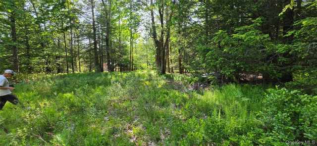 00 Church aka Pan Am Road, Mountain Dale, NY 12763