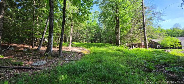 00 Church aka Pan Am Road, Mountain Dale, NY 12763