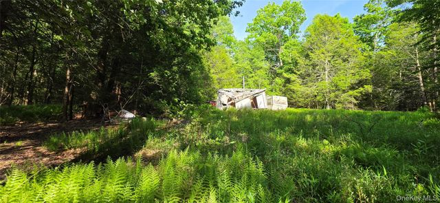 00 Church aka Pan Am Road, Mountain Dale, NY 12763