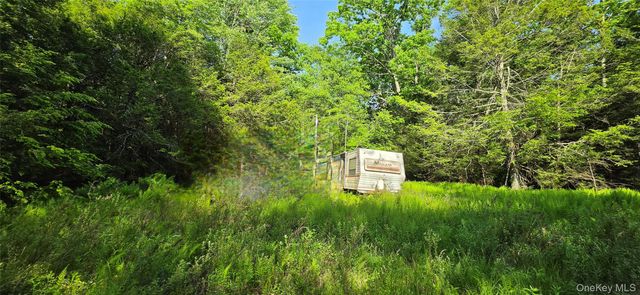 00 Church aka Pan Am Road, Mountain Dale, NY 12763