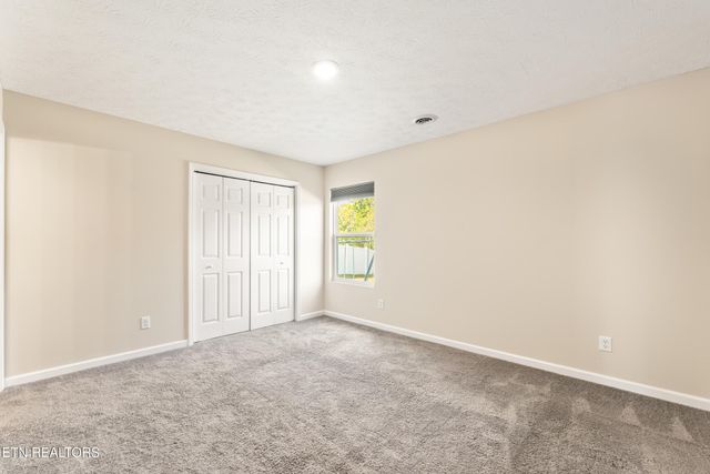 234 Sapling Lane, Knoxville, TN 37924