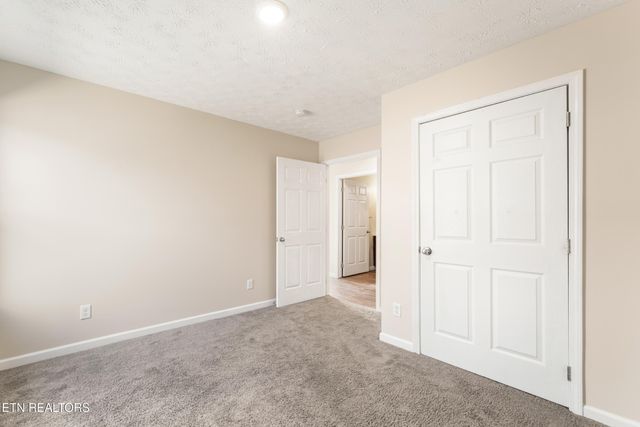 234 Sapling Lane, Knoxville, TN 37924