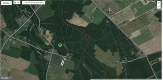 LAUREL GROVE, Federalsburg, MD 21632