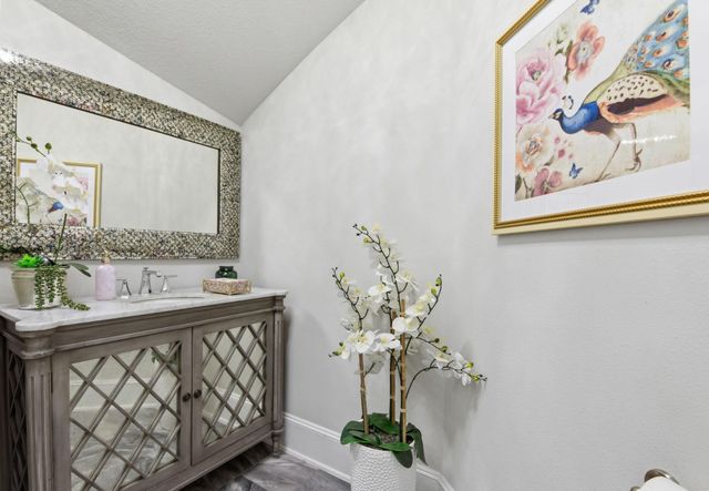 206 Bronze View Drive, Montgomery, TX 77316