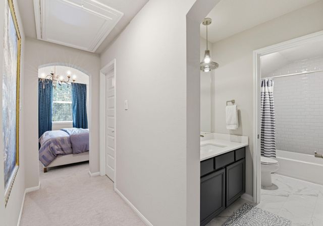 206 Bronze View Drive, Montgomery, TX 77316