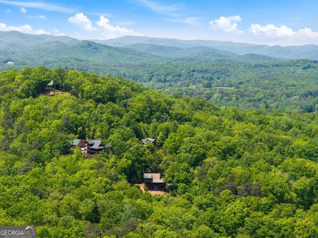 161 Huntington Way, Blue Ridge, GA 30513