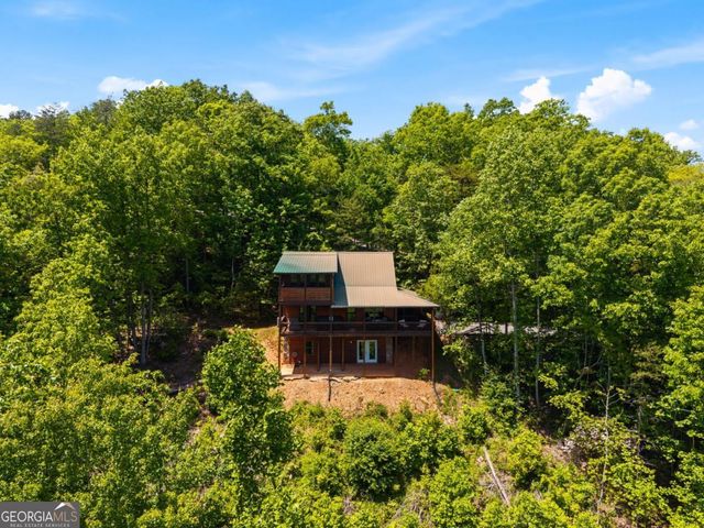161 Huntington Way, Blue Ridge, GA 30513