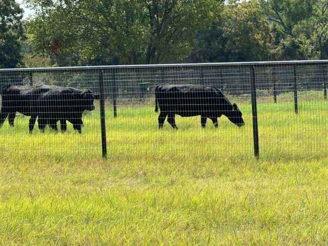 8690 E FM 922, Valley View, TX 76272