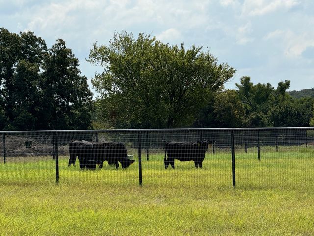 8690 E FM 922, Valley View, TX 76272